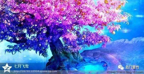 圣铠传说